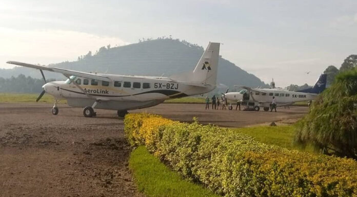 Encounter Gorilla Flying Tours in Uganda Aerolink Uganda