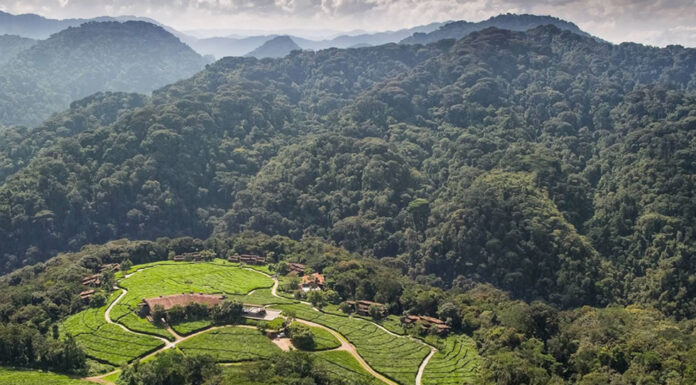 Miraculous Rwanda Rwanda The Land of a Thousand Hills