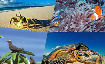 Getting Wild in Seychelles Wild Seychelles