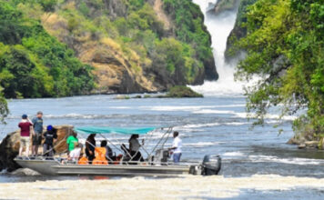 Planning a Budget Safari in Uganda Uganda Tourists