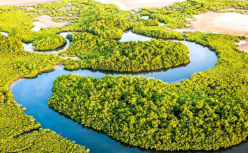 Tour Ecstasies at Sine-Saloum in Senegal Sine Saloum in Senegal