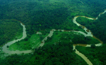 Guide to Maiko National Park Maiko National Park