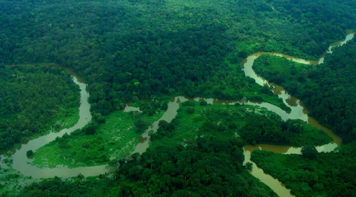 Guide to Maiko National Park Maiko National Park