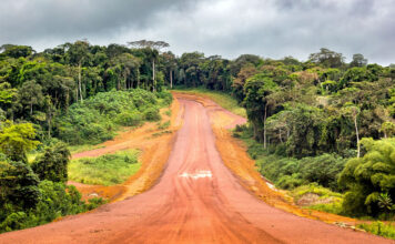 Driving in Gabon: Things to Know Driving in Gabon