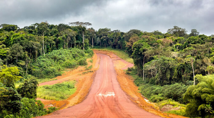 Driving in Gabon: Things to Know Driving in Gabon