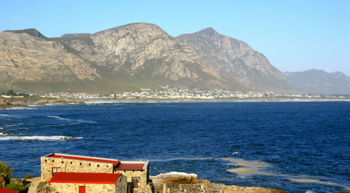 Complete Guide to Visiting Hermanus, South Africa Hermanus Town Guide