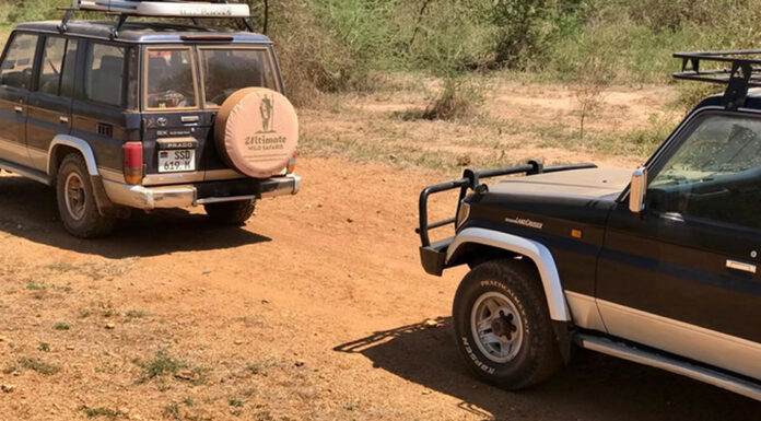 Driving in Sudan: Important Things to Know South Sudan Car Rental