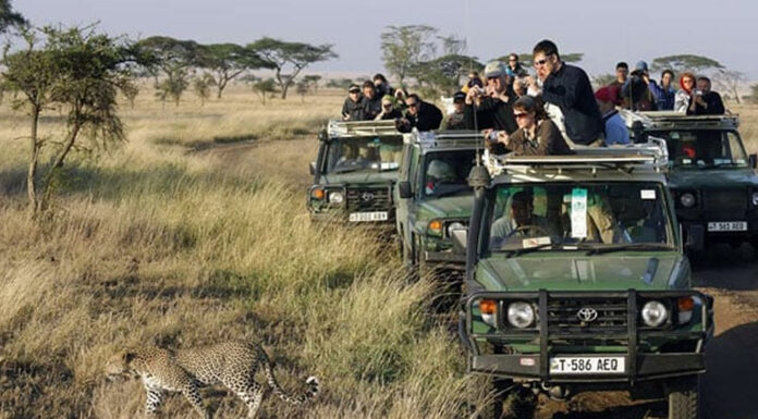 Guided Vs Self Drive Tours in East Africa East Africa Safari