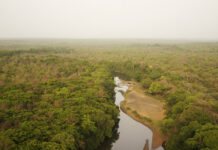 Adventures in Central Africa Experience Central African Republic