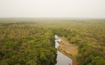 Adventures in Central Africa Experience Central African Republic