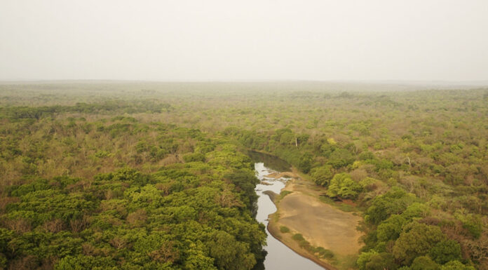 Adventures in Central Africa Experience Central African Republic