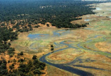 Explore Manovo Gounda St. Floris National Park Manovo Gounda st floris national park