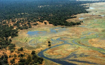 Explore Manovo Gounda St. Floris National Park Manovo Gounda st floris national park