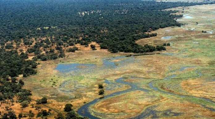 Explore Manovo Gounda St. Floris National Park Manovo Gounda st floris national park