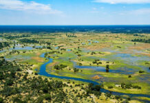 Okavango Delta: Enthralling Destination of Nature’s Quest Okavango Delta