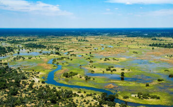 Okavango Delta: Enthralling Destination of Nature’s Quest Okavango Delta