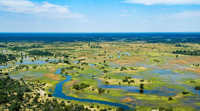 Okavango Delta: Enthralling Destination of Nature’s Quest Okavango Delta