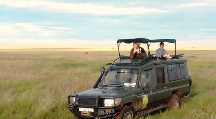 Why You Should Rent a Car for Self Drive in Tanzania Tanzania Safari Car