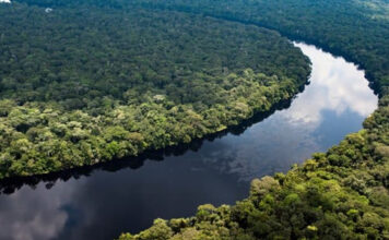 Visiting the Congo River Congo River