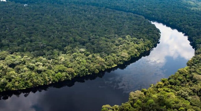 Visiting the Congo River Congo River