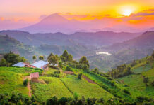 Reasons Why You Should Visit Uganda Uganda the Pearl of Africa