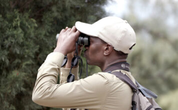 Top 6 Bird Watching Destinations in Africa Best Birding Destinations in Uganda