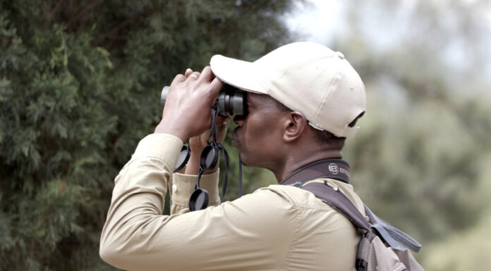 Top 6 Bird Watching Destinations in Africa Best Birding Destinations in Uganda