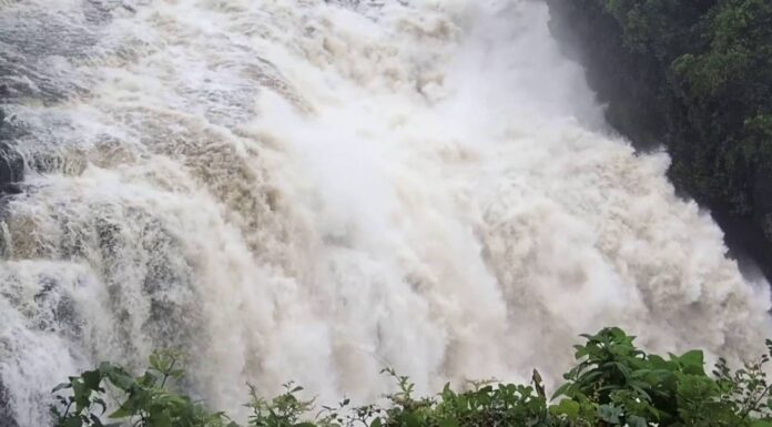 Exploring Livingstone Falls in DR Congo Livingstone Falls in DR Congo