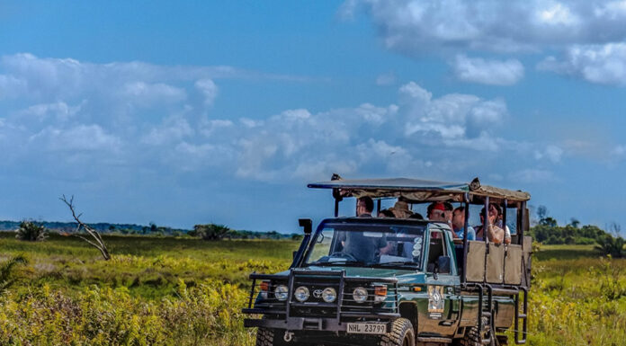 Top 3 Countries for Self-drive in Africa Visit South Africa