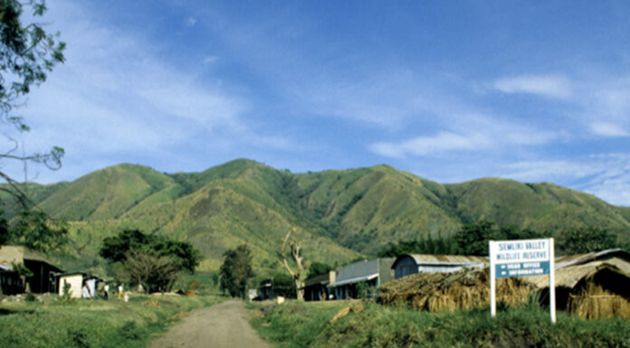 A Hiker’s Guide to Conquering Uganda’s Mountains Rwenzori Mountains