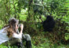 Where to Go for Gorilla Tracking in 2025 Gorilla Trekking