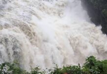 Explore Livingstone Waterfalls in DR Congo Livingstone Falls in DR Congo
