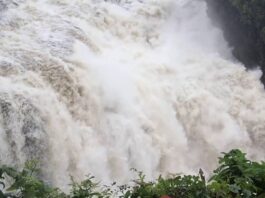 Explore Livingstone Waterfalls in DR Congo Livingstone Falls in DR Congo